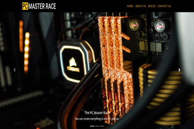 PC Master Race website image